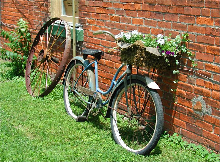 Picture Of Bicycle For Flowers