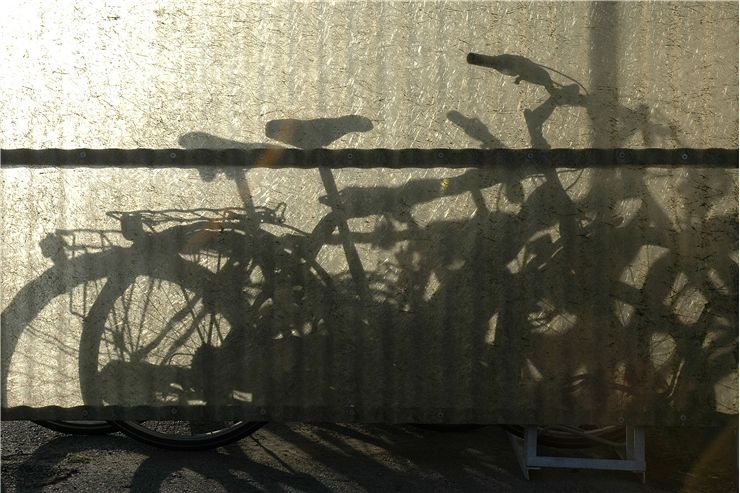 Picture Of Bicycles Shadows