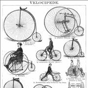 Picture Of Different Velocipedes