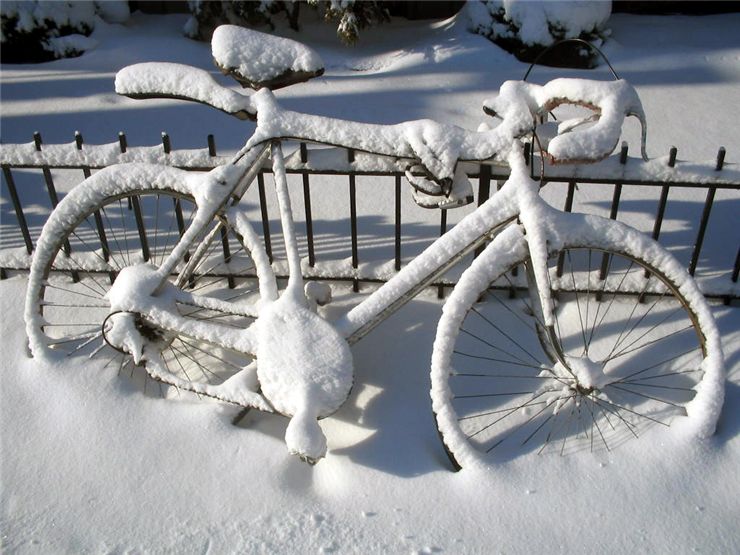 Picture Of Frozen Bicycle