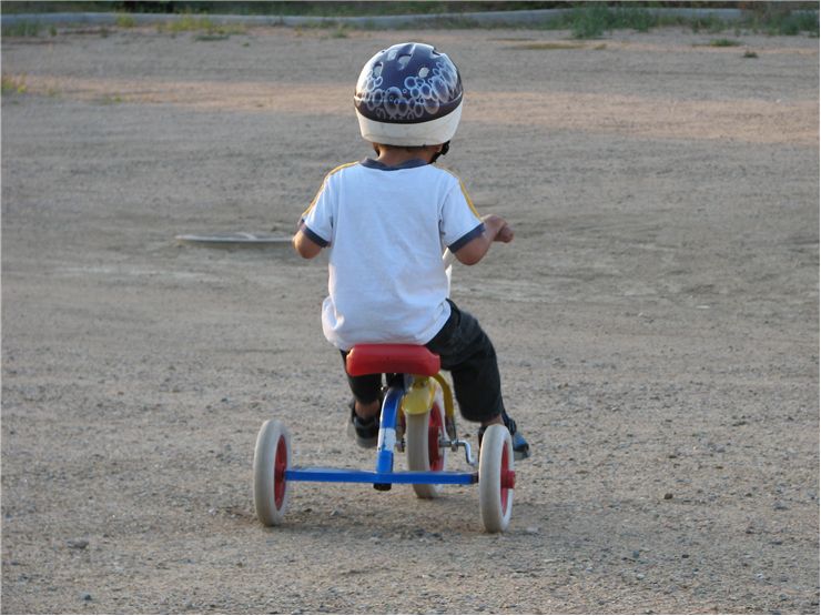 Picture Of Kids Tricycle