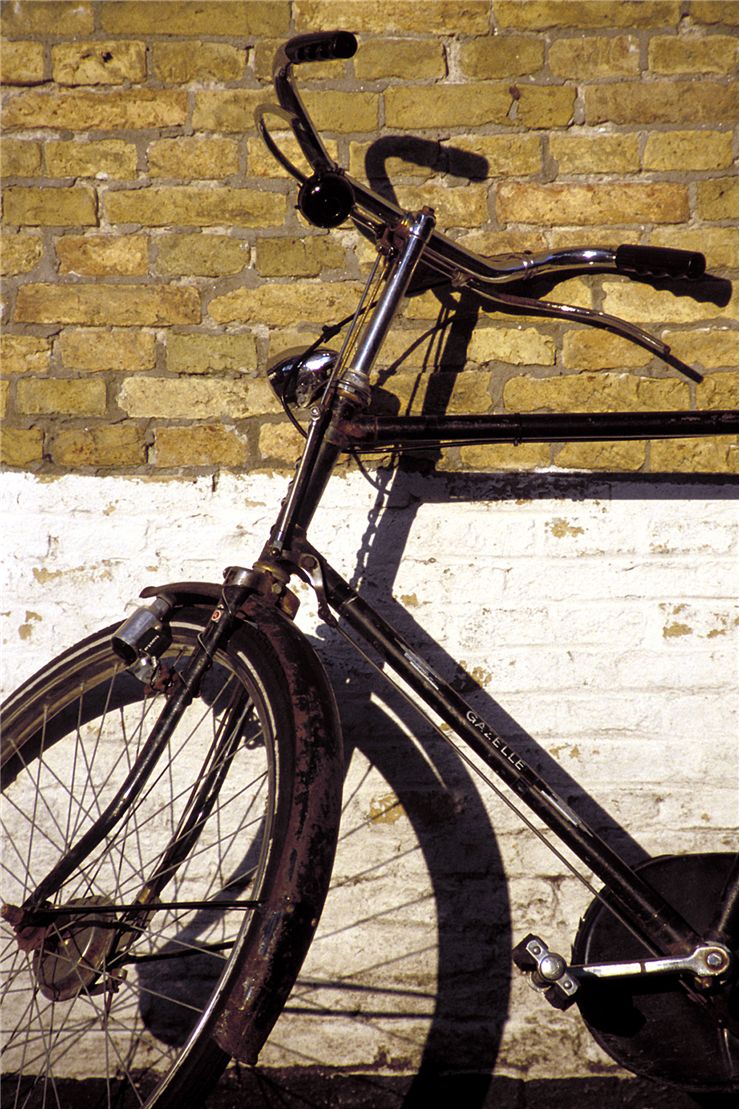 Picture Of Rusty Dutch Bicycle